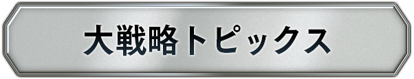 大戦略トピックス