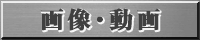 画像・動画
