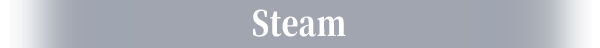 Steam