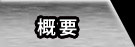 概要