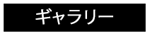 ギャラリー