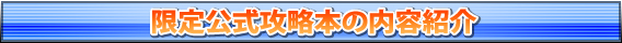 限定公式攻略本の内容紹介