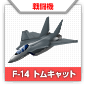 F-14 トムキャット