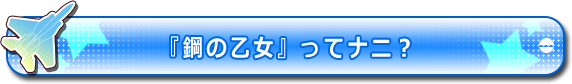 『鋼の乙女』ってナニ？