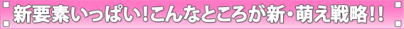 新要素がいっぱい！こんなところが新・萌え戦略！