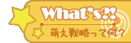 【What's】萌え戦略って何？