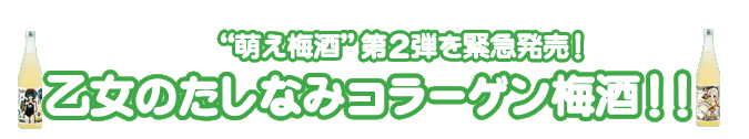 “萌え梅酒”第２弾を緊急発売！乙女のたしなみコラーゲン梅酒！！