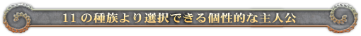 11の種族より選択できる個性的な主人公