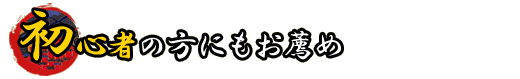 初心者の方にもお薦め